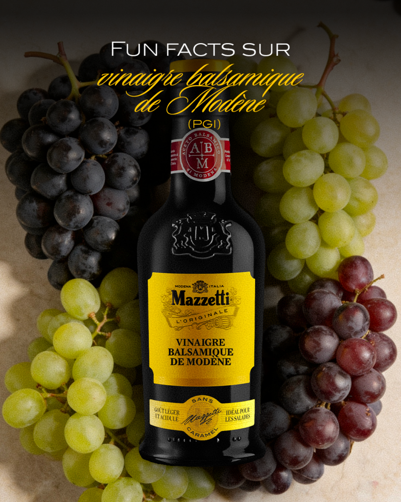 Mazzetti — visuel 5